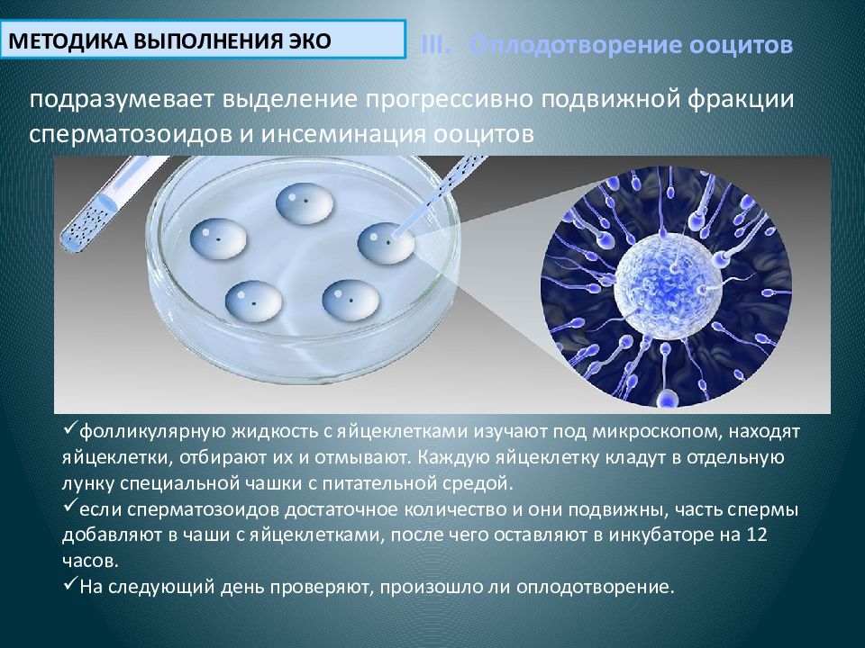 Ооциты качество. Экстракорпоральное оплодотворение ооцитов. Экстракорпоральное оплодотворение презентация. Экстракорпоральное оплодотворение кратко. Минусы искусственного оплодотворения.