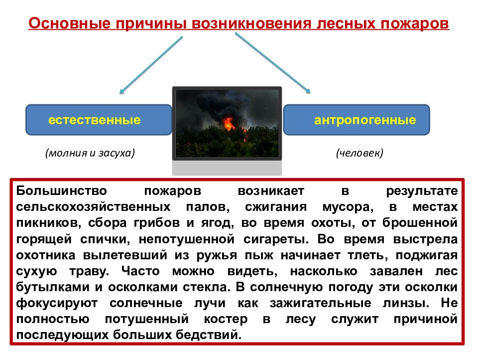 Презентация для начальной школы лесные пожары