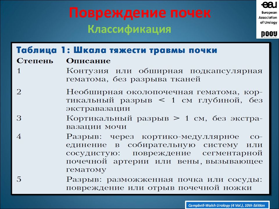 Травмы почек презентация