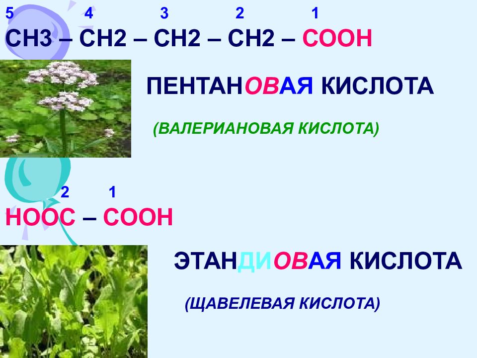 Карбоновые кислоты презентация 10 класс базовый уровень презентация