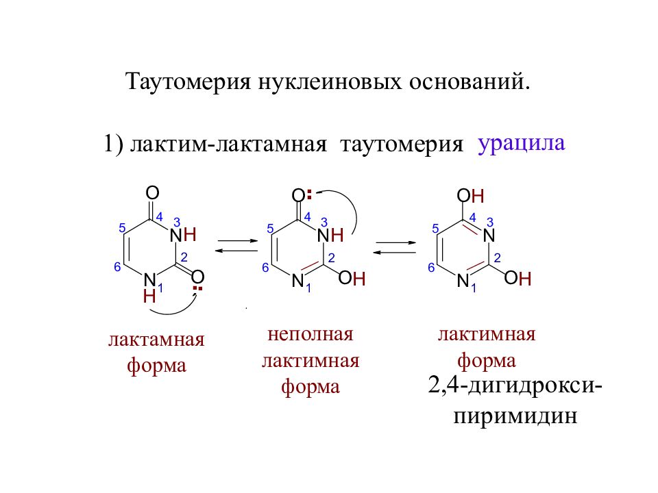 Особенности строения основания. Лактим-лактамная таутомерия урацила. Таутомерия пиримидиновых. Таутомерия пуриновых оснований. Кето-енольная таутомерия урацила.