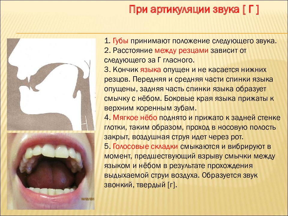 Положение языка при звуке р картинки