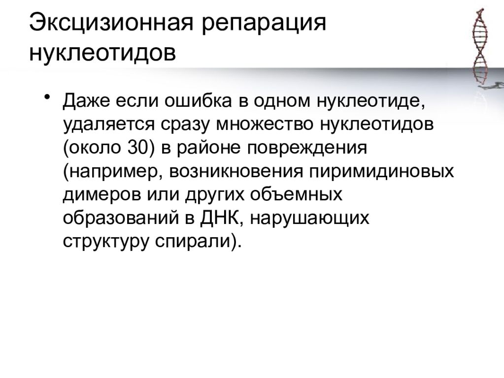 механизмы молекулярной репарации. эксцизионная репарация нуклеотидов. экспозиционная репарация оснований. механизмы молекулярной репарации. прямая и эксцизионная репарация.