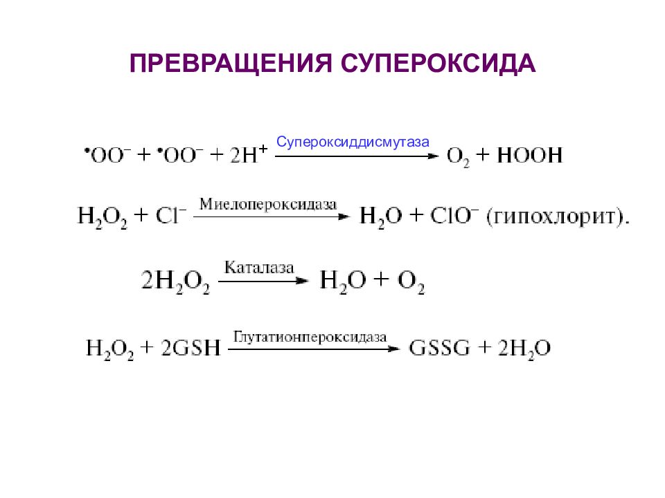 Г е н е р а л. Супероксиддисмутаза. Супероксиддисмутаза каталаза и глутатионпероксидаза. Супероксида Fe. Супероксиды ме.