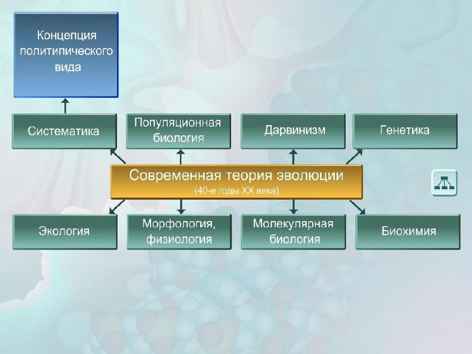 Элементарные факторы эволюции презентация