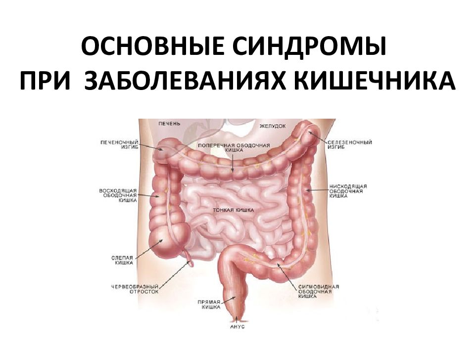 Стол при дивертикулезе кишечника толстого кишечника