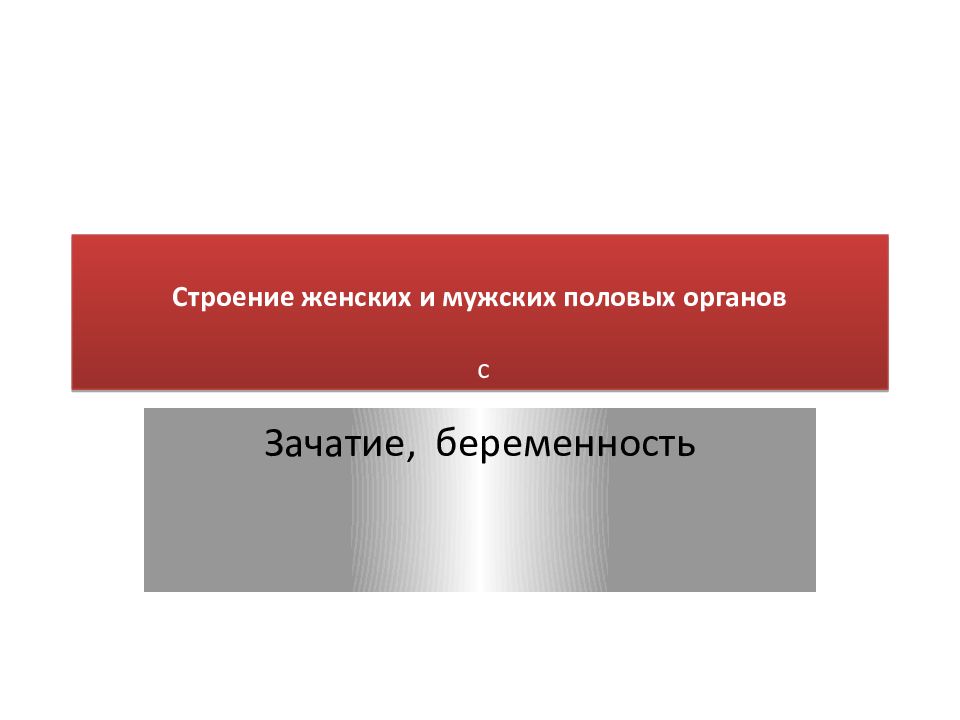 Женские и мужские полов орган. Строение женских.половых органов.