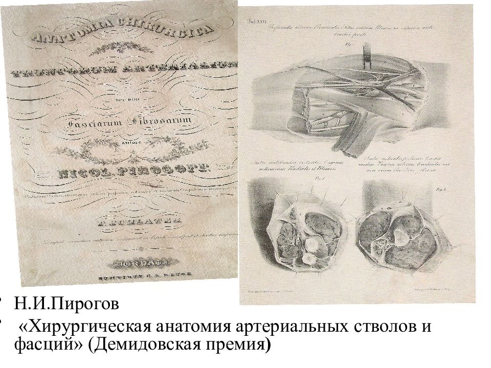 Атлас хирургии и анатомии