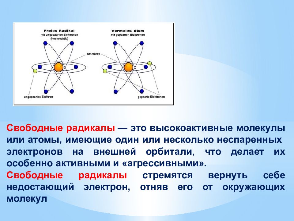 Организация радикал