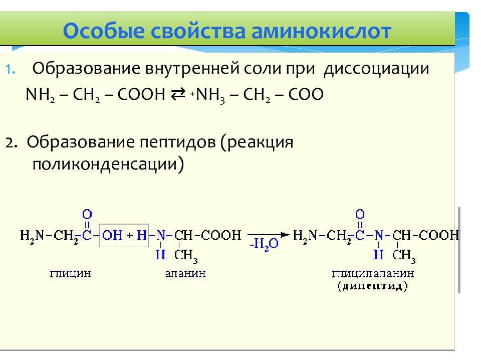 Аминокислоты и белки презентация по химии 9 класс