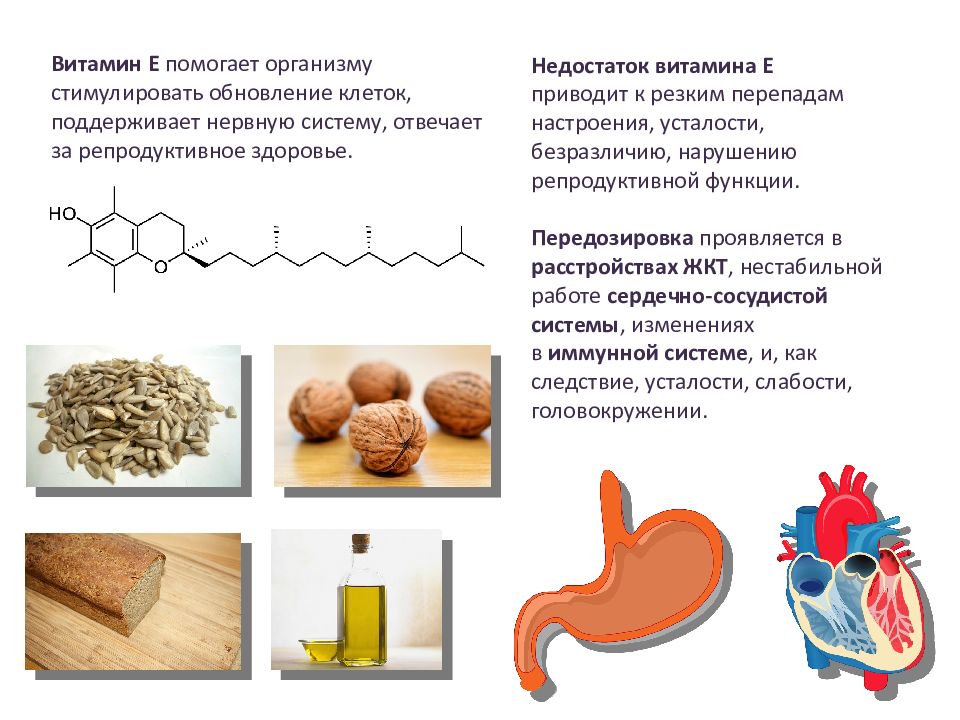 Витамины и ферменты картинки