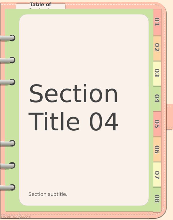 Section Title 04