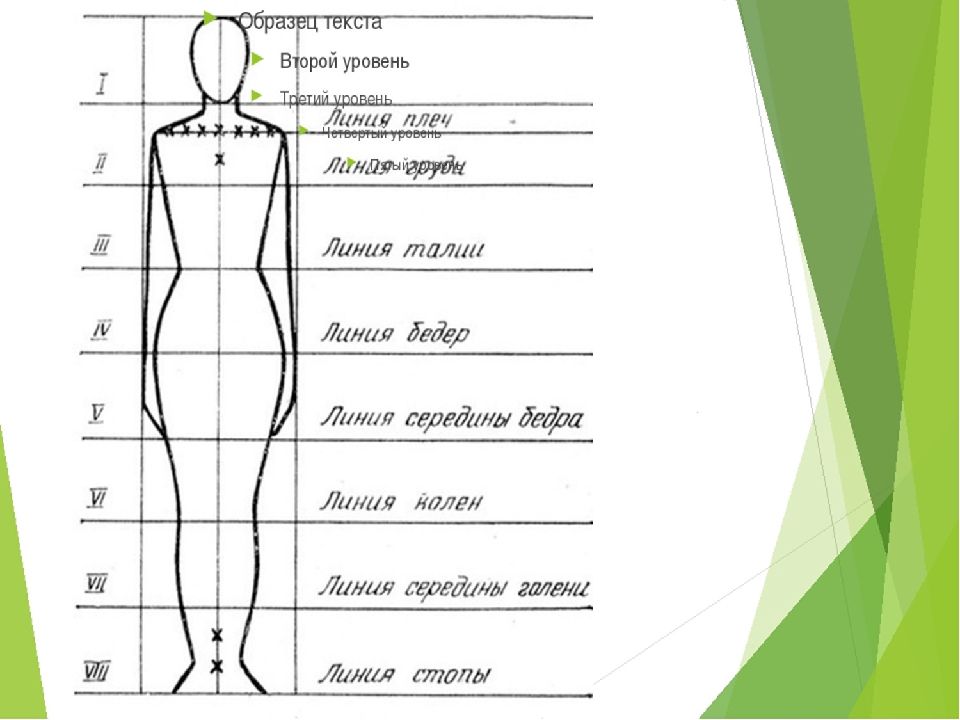8 частей человека. Схема пропорций фигуры человека. Пропорции человеческой фигуры схема. Пропорции человека в полный рост схема. Пропорции тела человека анатомия.