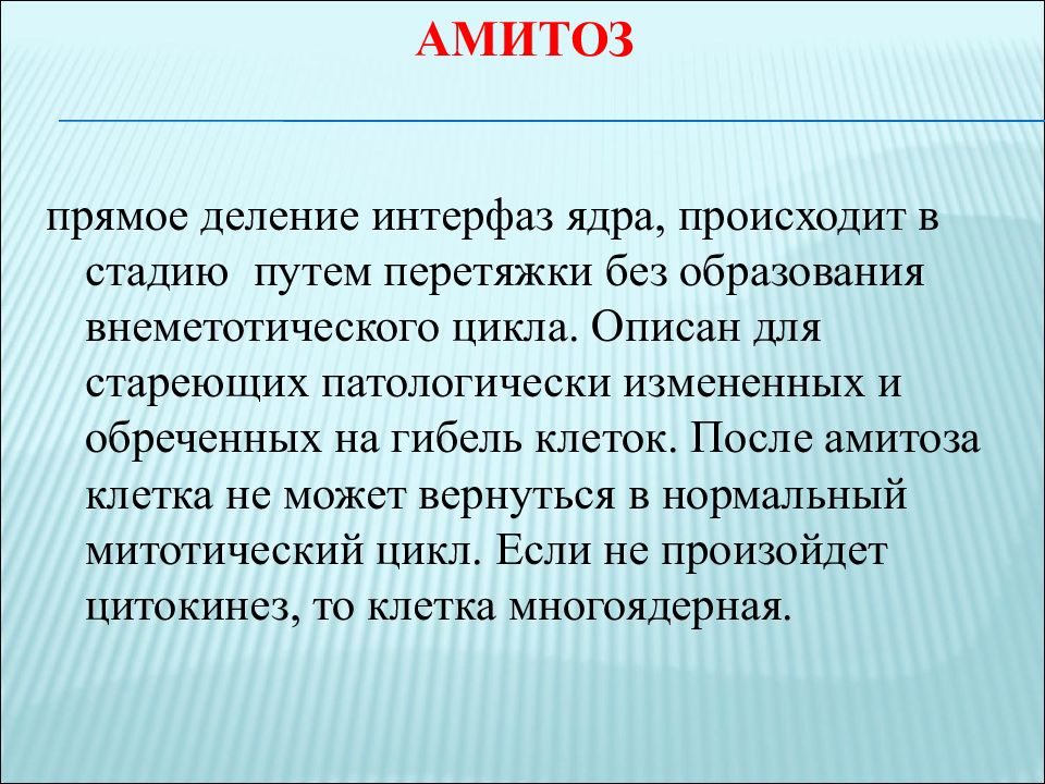 Деление амитозом. Стадии амитоза. Амитоз прямое деление ядра. Амитоз прямое деление клетки путем перетяжки. Амитоз кратко.