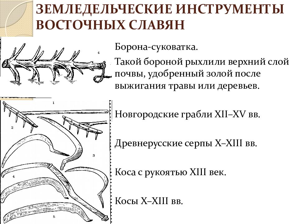 пашенное земледелие у восточных славян. древняя русь славяне земледелие. материальная и духовная культура. скотоводство и земледелие в древней руси. земледелие скотоводство киевской руси.