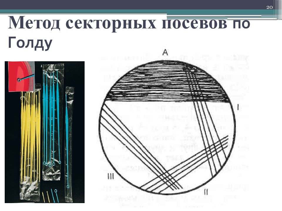 Схема посева мочи