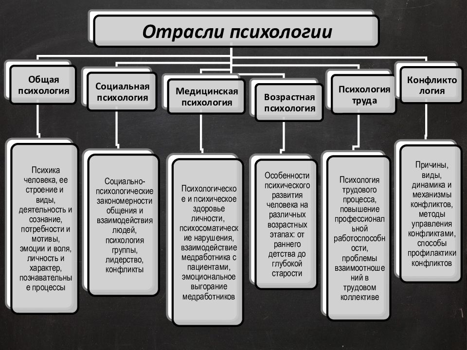 Отрасли психологии презентация