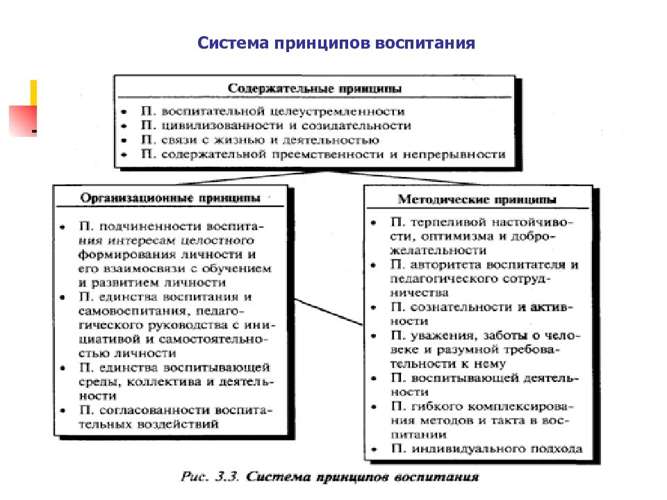 Принципы воспитания в педагогике схема