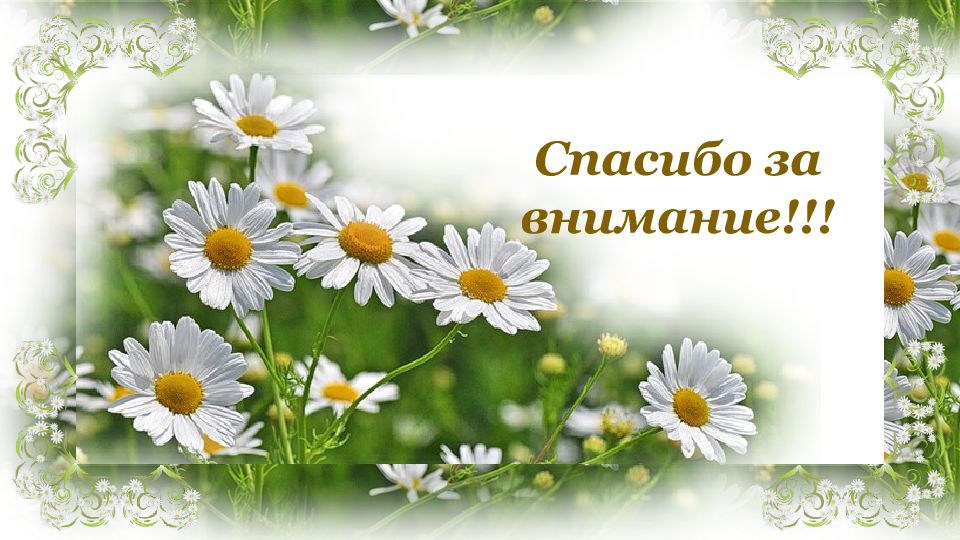 Доброго дня любимая семья. Открытки с ромашками хорошего дня. Доброе летнее утро четверга. Открытки с добрым утром четверга. Доброго летнего четверга