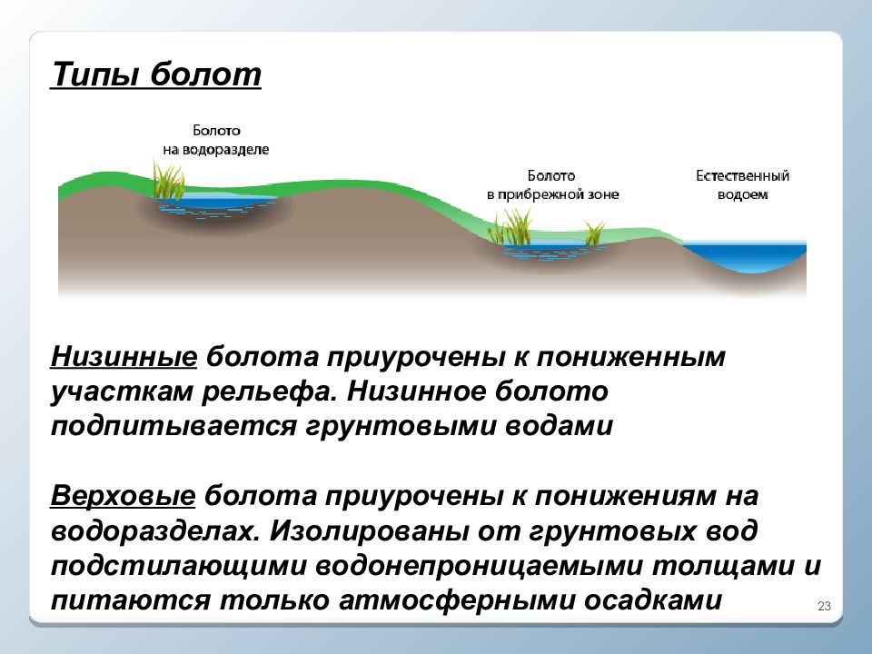 Приспособление болот. Низинные болота схема. Образование подземных вод схема. Подземные воды схема. Виды подземных вод схема.