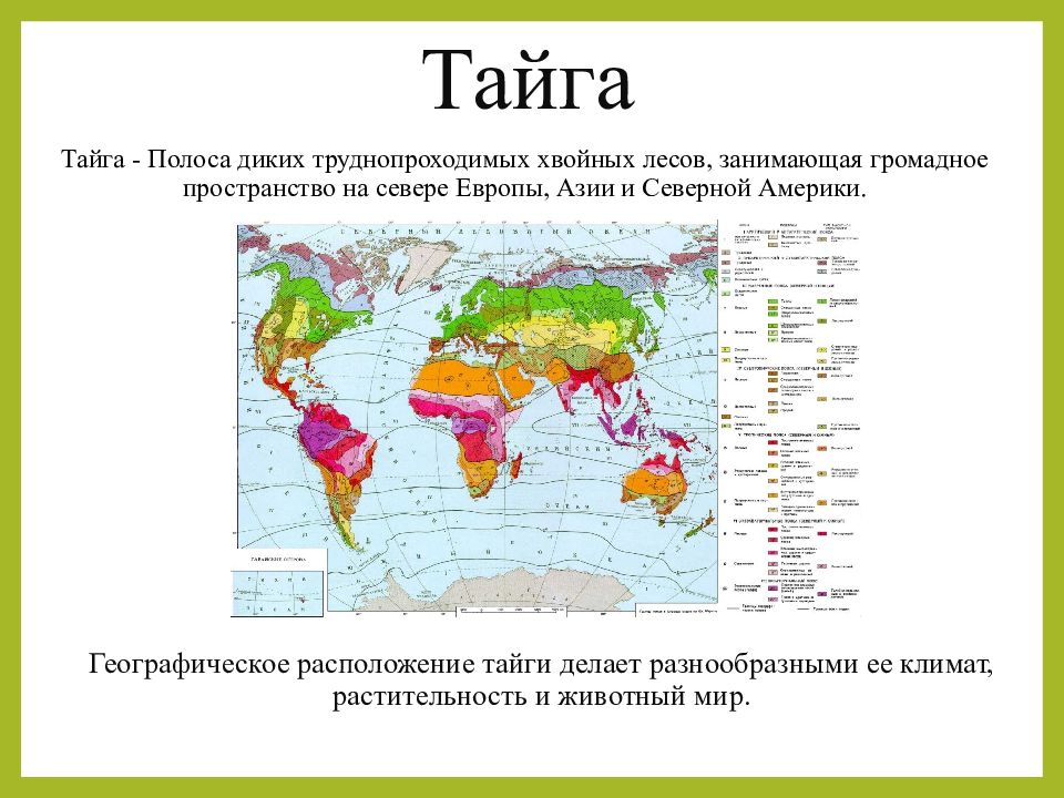 План характеристики природной зоны тайги географическое положение природной зоны