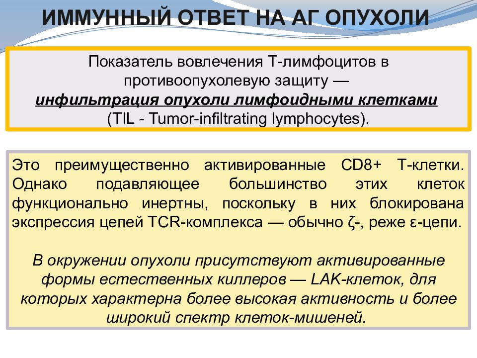 Противоопухолевый иммунитет презентация