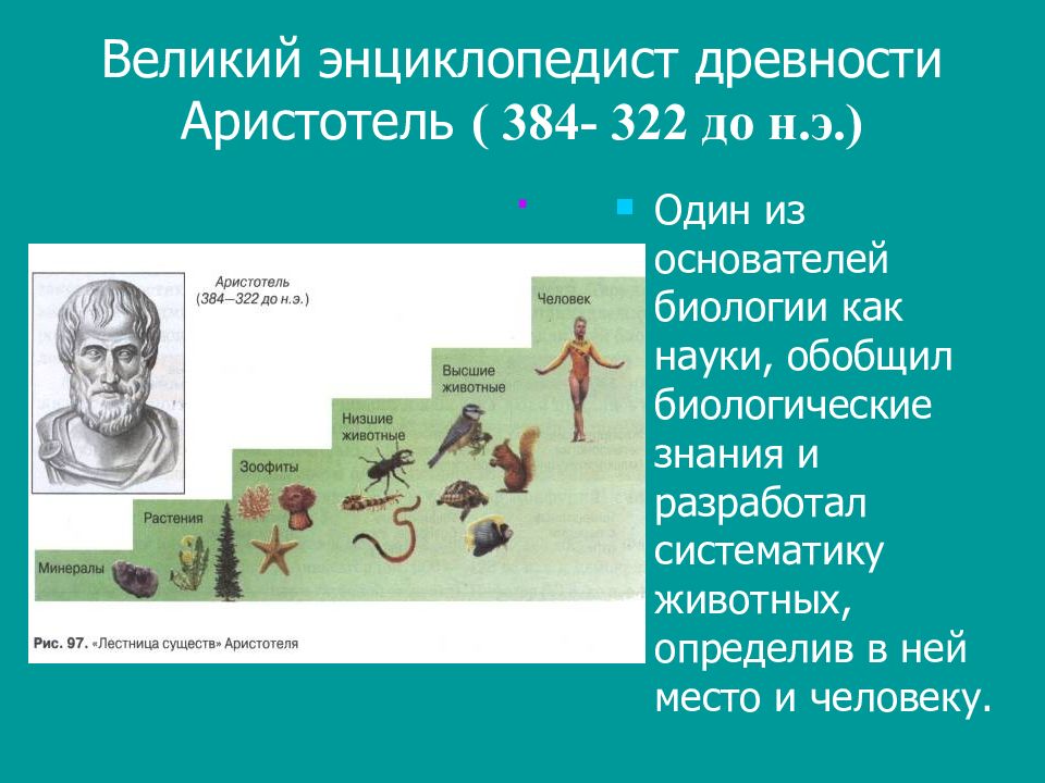 Презентация история развития биологии