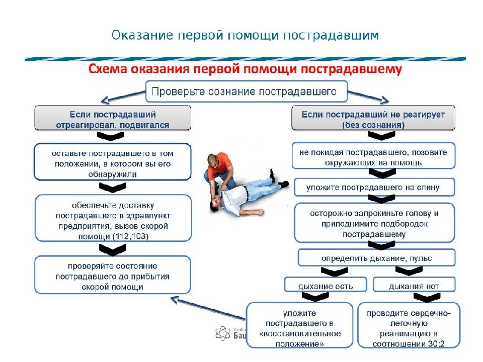 Общая схема оказания первой помощи на месте происшествия ржд