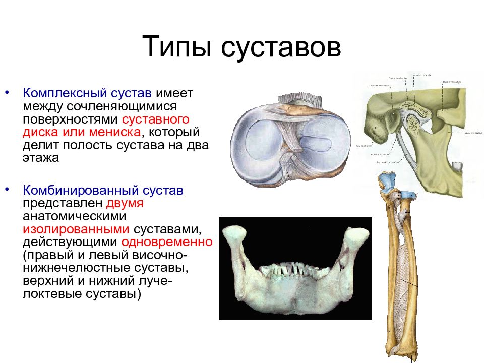 Группы суставов. Комплексные суставы примеры. Комплексные и комбинированные суставы. Комбинированныесустав. Примеры комбинированных суставов.