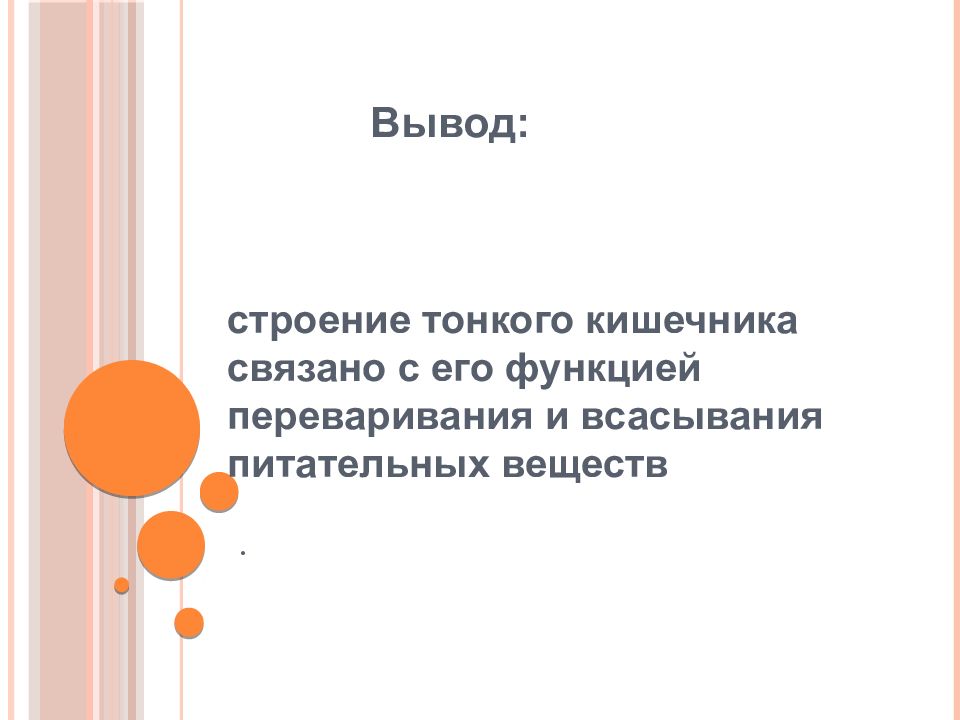 Пищеварение в кишечнике 8 класс презентация