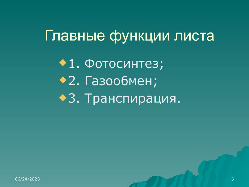 Основные функции листьев. Функции листа. функции листьев.