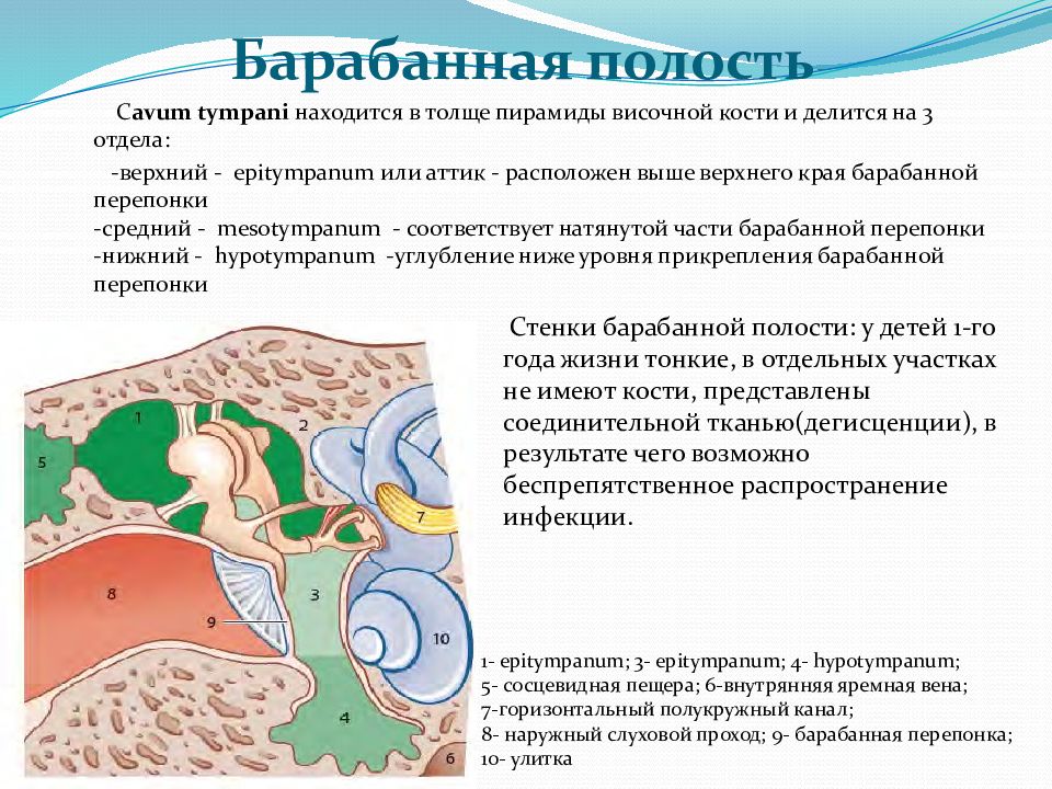 Схема барабанной полости