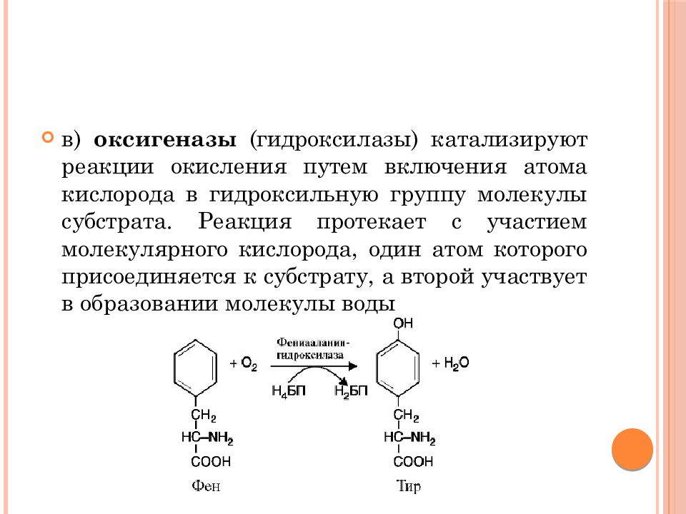 Реакции на гидроксильную группу. Оксигеназы катализируют реакцию. Диоксигеназы катализируют. Диоксигеназы катализируют реакции. Реакция с ферментом диоксигеназы.