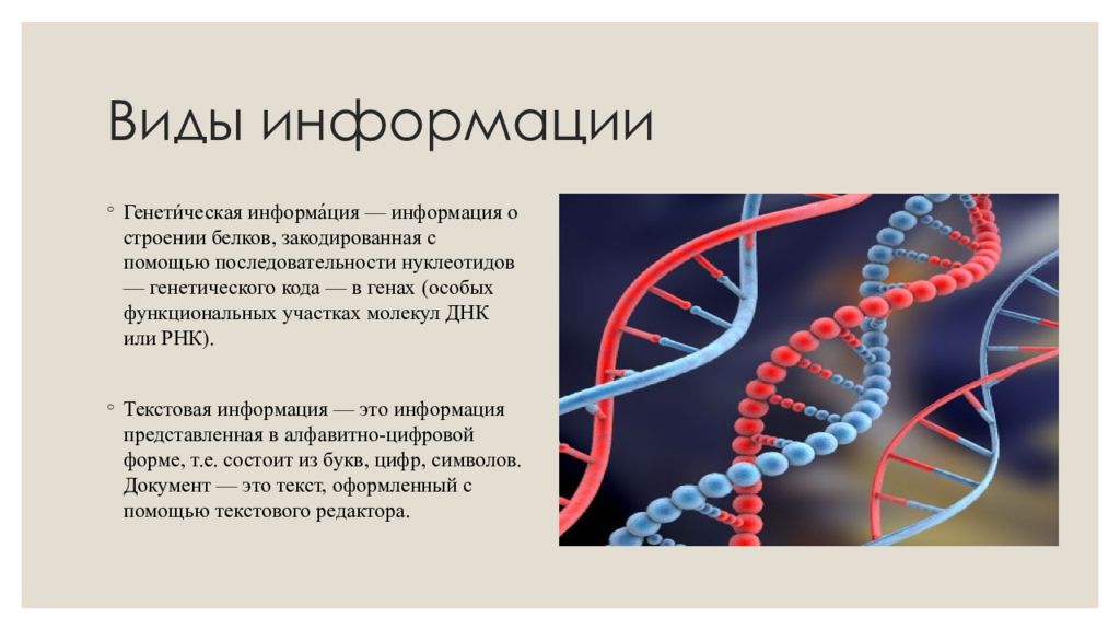 Источники информации биологии 5 класс