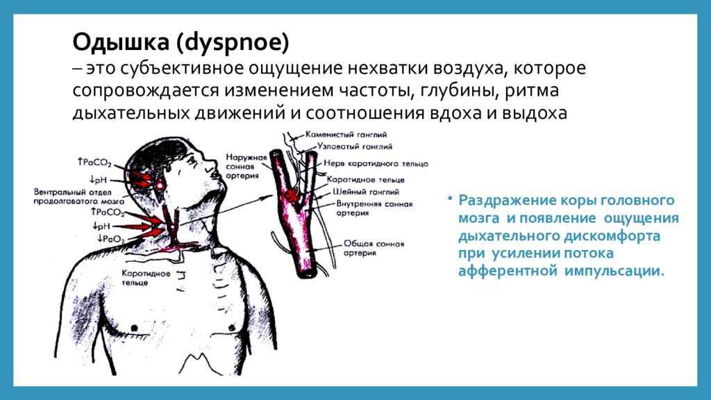 Не хватает воздуха при дыхании хочется зевать. Субъективное ощущение затруднения дыхания. Точки при затруднении дыхания. Чувство нехватки дыхания. Патогенез чувство нехватки воздуха.