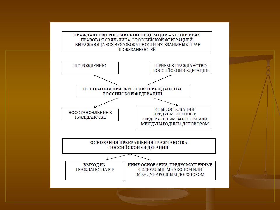 Правовой статус гражданина рф презентация