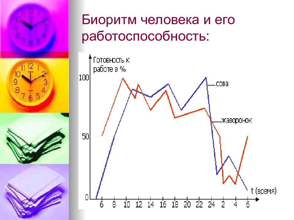 Работоспособность человека и биоритмы тайм менеджмент презентация