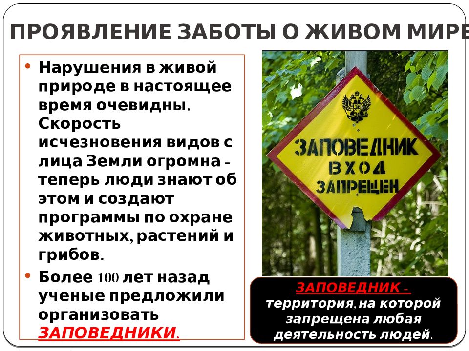 Презентация по биологии 5 класс важность охраны живого мира планеты пономарева