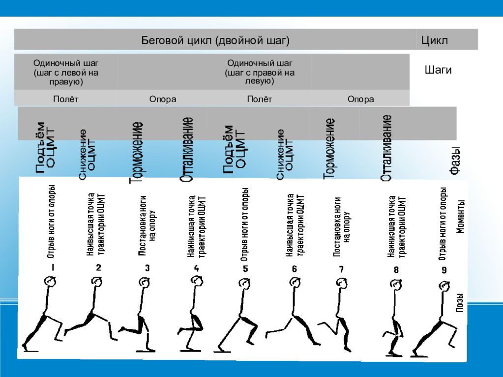 Сайт шага. Основы техники бега. Основы техники бега основы техники бега. Цикл движения в беге. Цикл шага в беге.