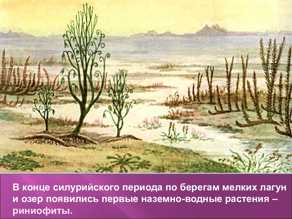 В первом периоде. Псилофиты Силур. Силурийский период растения. Силурийский период псилофиты. Силурийский период наземные растения.