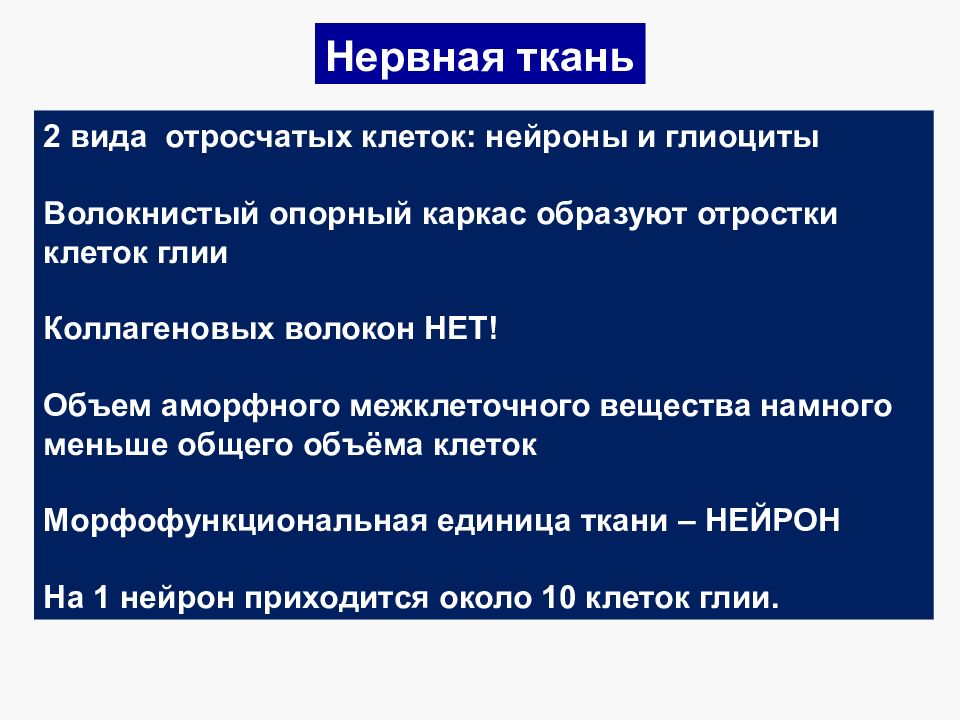 Гистогенез нервной ткани. Гистогенез нервной ткани