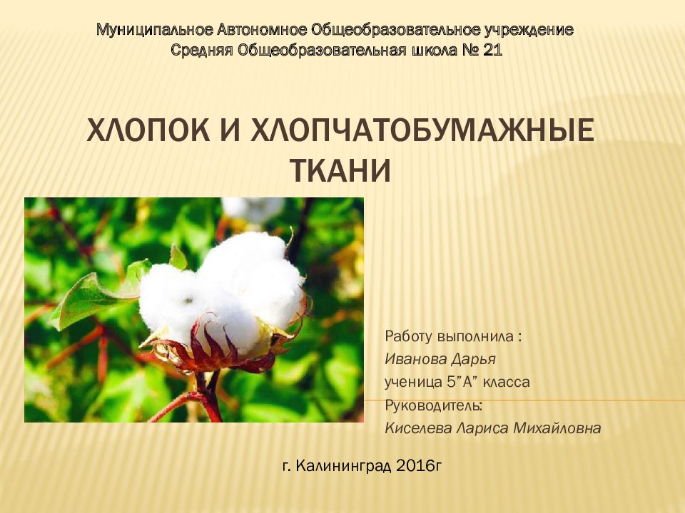Хлопок и хлопчатобумажные ткани