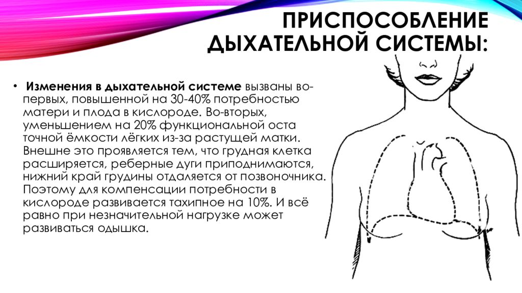 Изменилось дыхание. Изменение органов дыхания при беременности. Изменения в дыхательной системе при беременности. Изменение в дыхательной системе беременной женщины. Дыхательная система изменения в организме беременной.