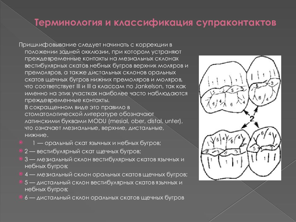 Положение центральной окклюзии. Дистальное и мезиальное положение боковых зубов. Центральная окклюзия соотношение первых моляров. Небное расположение зуба.