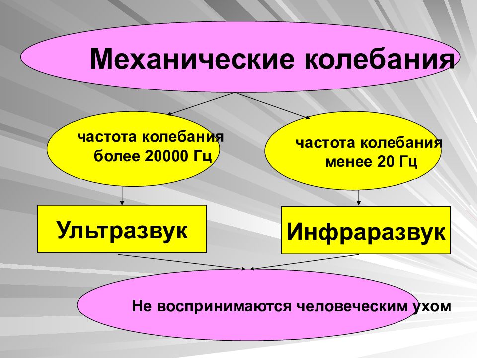 Презентация на тему ультразвук и инфразвук по физике