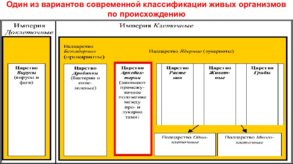 Современная классификация. Классификация современной испанской рекламы.