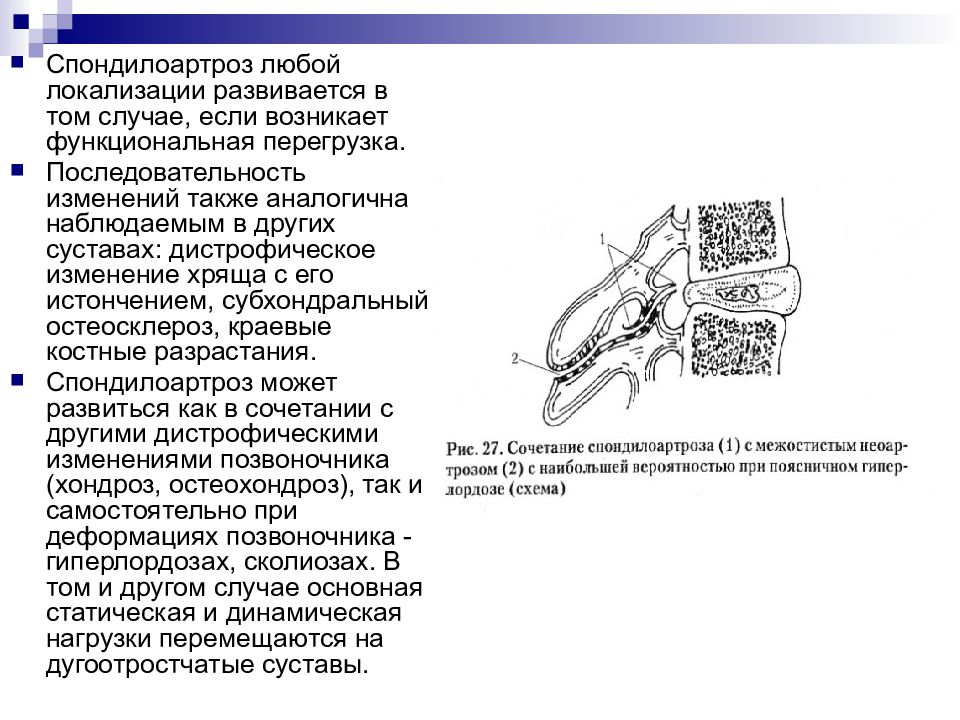 Дегенеративно дистрофические изменения легких и стенок бронхов