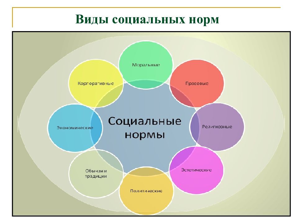 Образцы правила поведения принятые в обществе