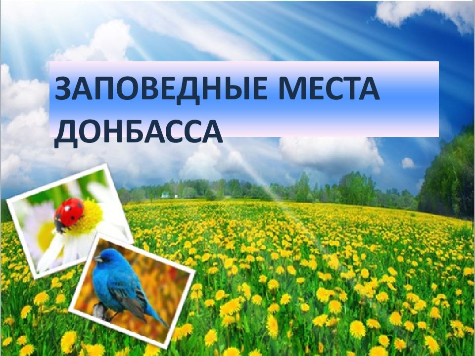 ЗАПОВЕДНЫЕ МЕСТА ДОНБАССА