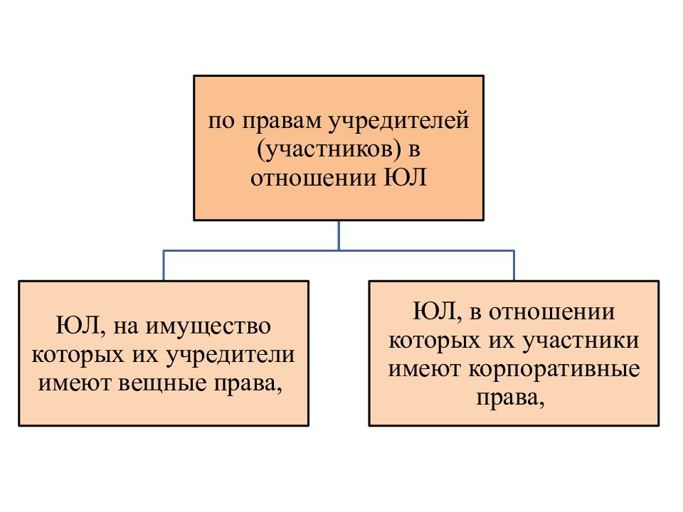 Презентация юридические лица